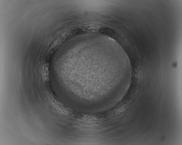 X0000115510818200912041100