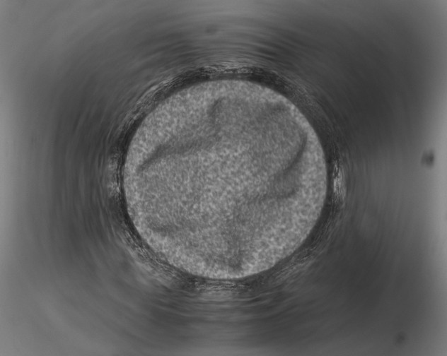 X0000115510819200912041100