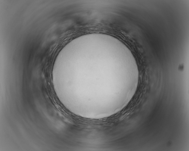 X0000115510820200912041100