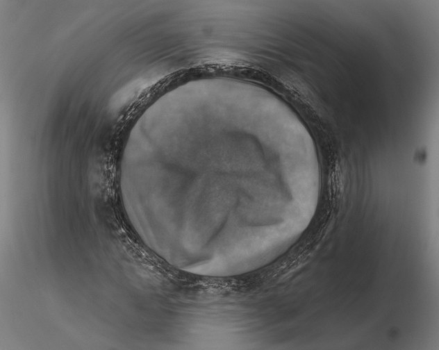 X0000115510822200912041100