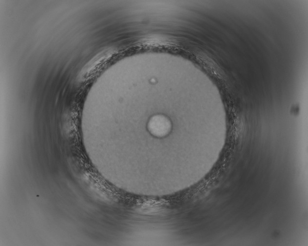 X0000115510824200912041100