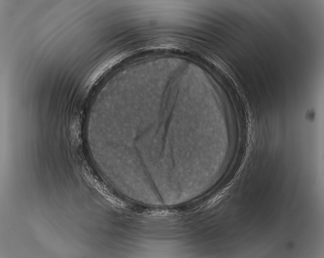 X0000115510826200912041100