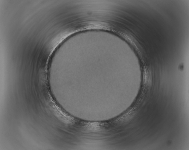 X0000115510828200912041100