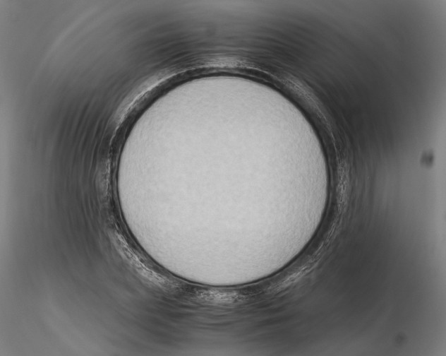 X0000115510831200912041100