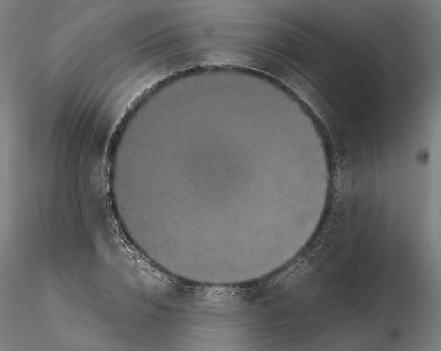 X0000115510832200912041100