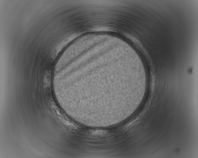 X0000115510833200912041100