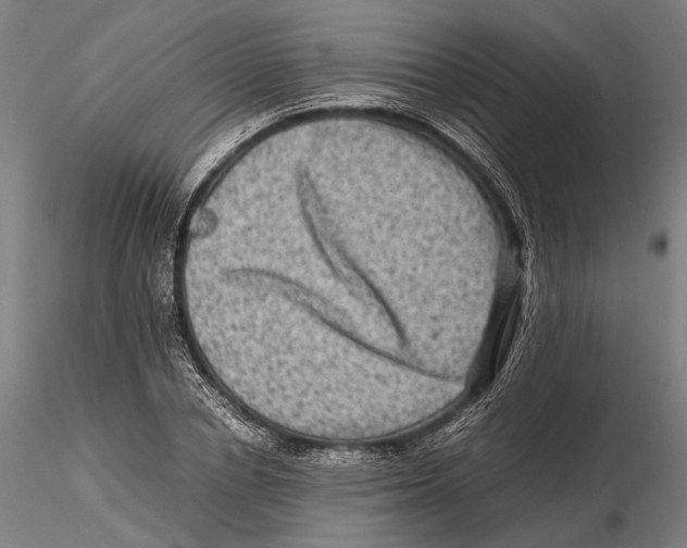 X0000115510834200912041100