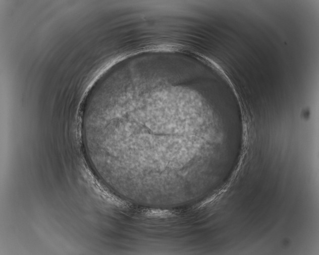 X0000115510835200912041100