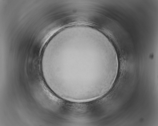 X0000115510836200912041100