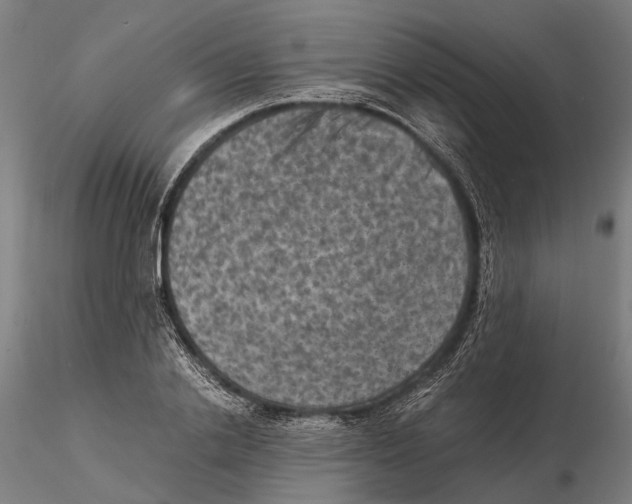 X0000115510838200912041100