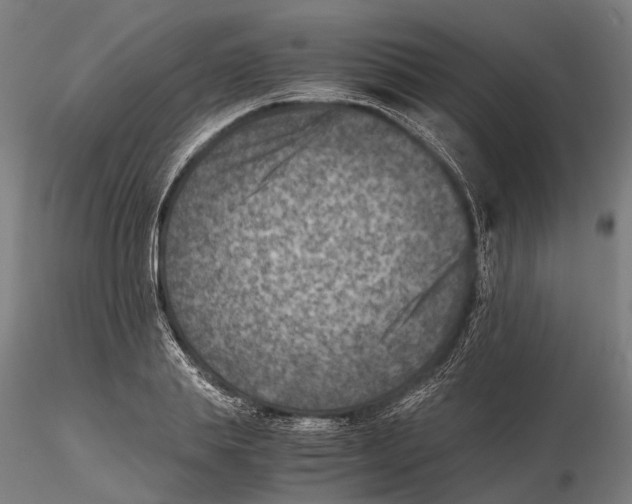 X0000115510839200912041100