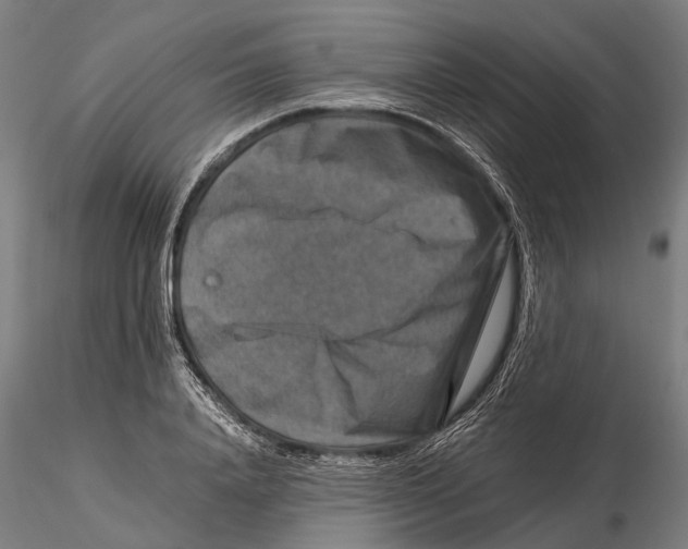 X0000115510840200912041100