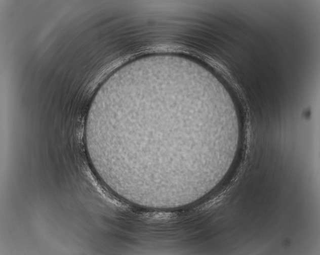 X0000115510841200912041100