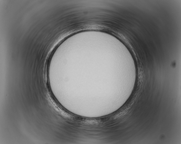 X0000115510843200912041100