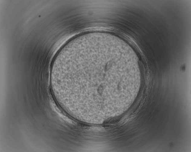 X0000115510844200912041100