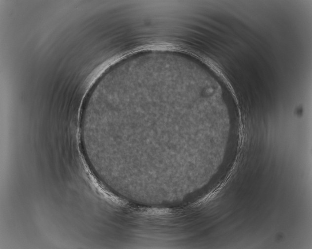 X0000115510845200912041100