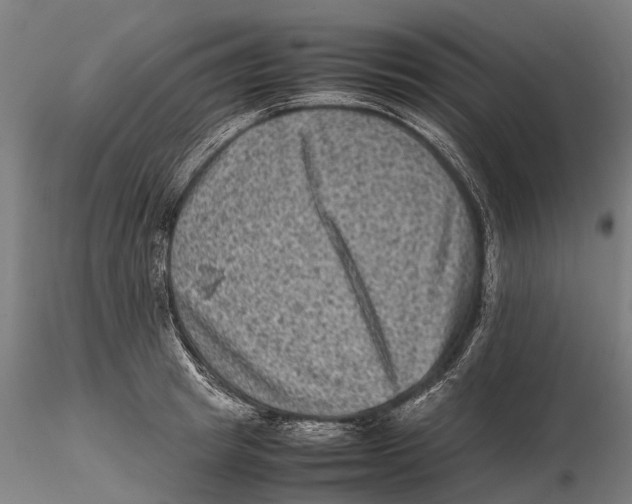 X0000115510849200912041100