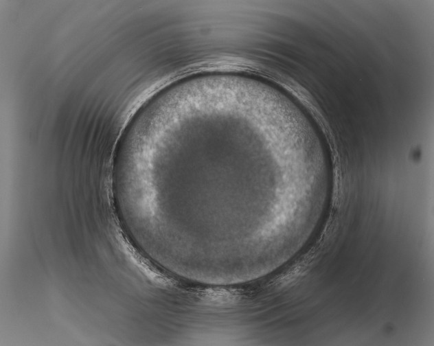 X0000115510850200912041100