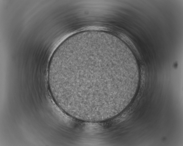 X0000115510852200912041100