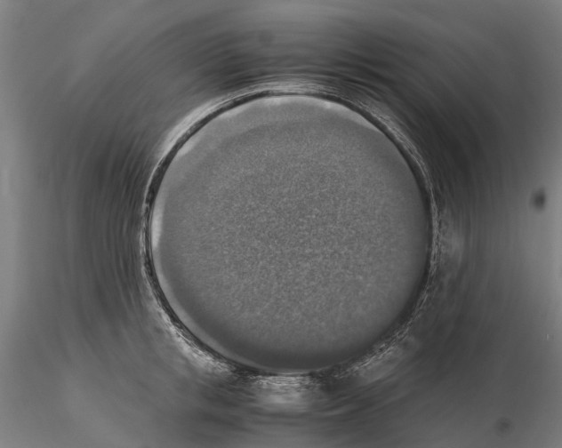 X0000115510853200912041100