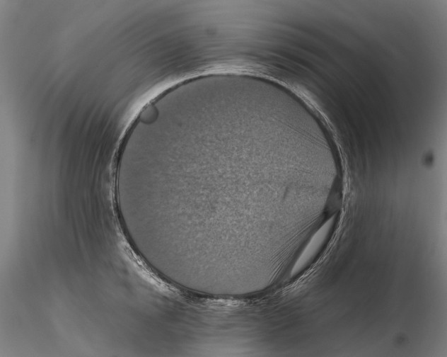 X0000115510854200912041100