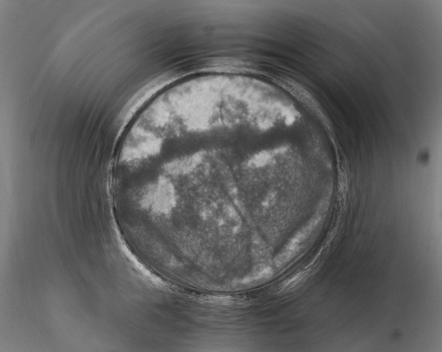 X0000115510855200912041100