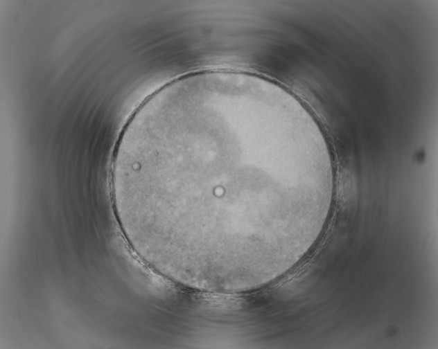 X0000115510856200912041100