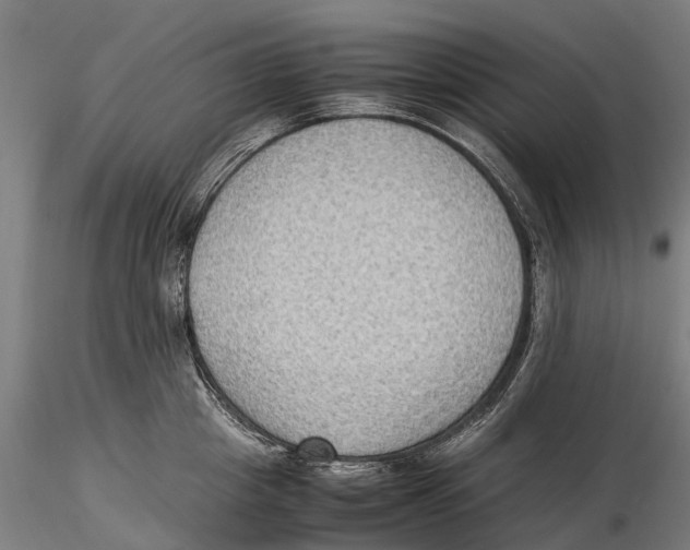 X0000115510857200912041100