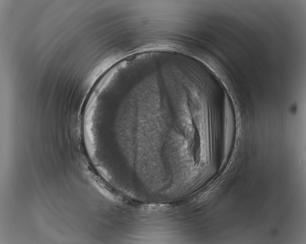 X0000115510858200912041100