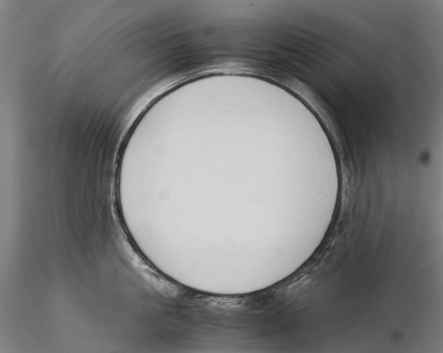 X0000115510861200912041100