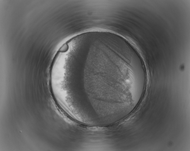 X0000115510862200912041100