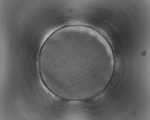 X0000115510863200912041100