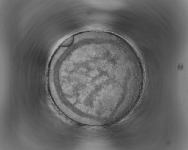 X0000115510864200912041100