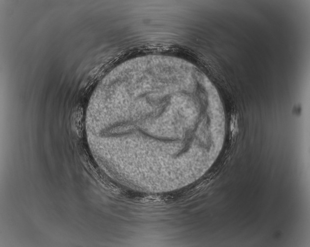 X0000115510867200912041100