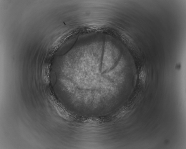 X0000115510868200912041100