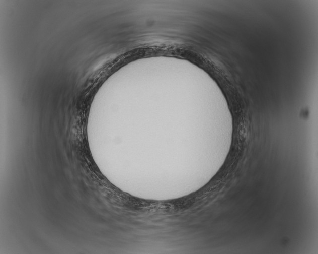 X0000115510869200912041059