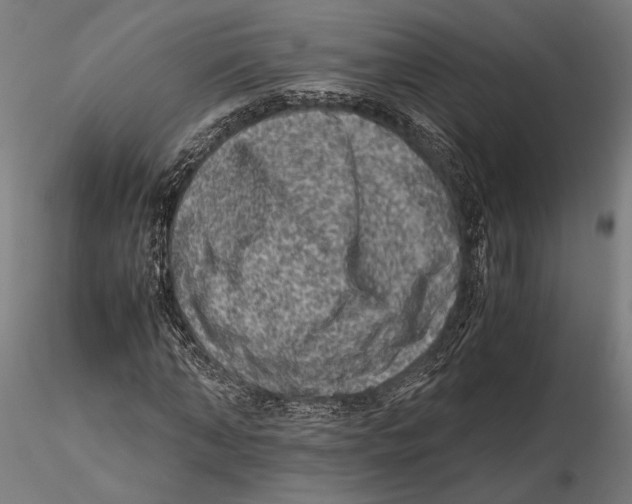 X0000115510870200912041059