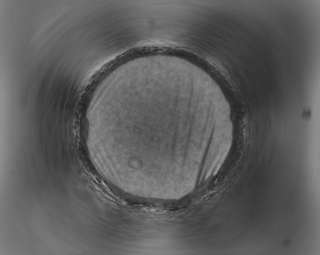 X0000115510872200912041059