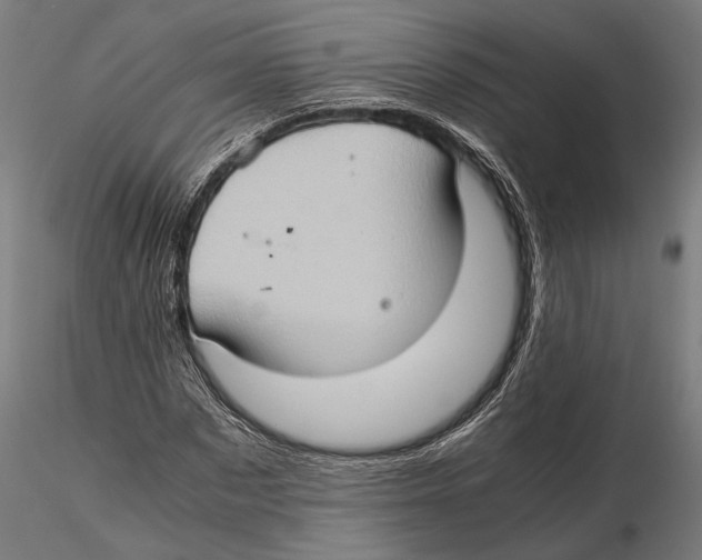 X0000115510873200912041059