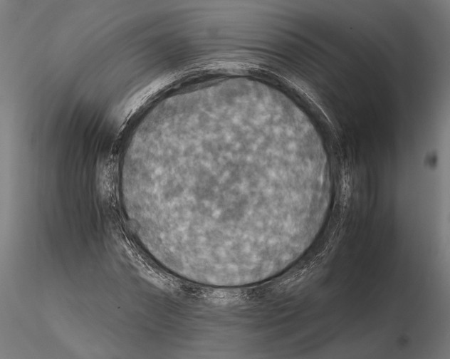 X0000115510874200912041059