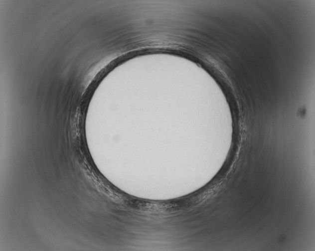 X0000115510875200912041059