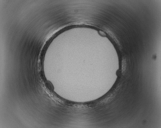 X0000115510876200912041059