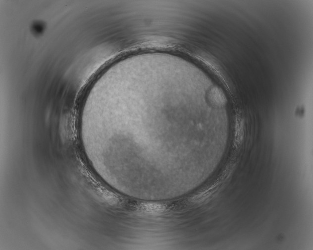 X0000115510878200912041059