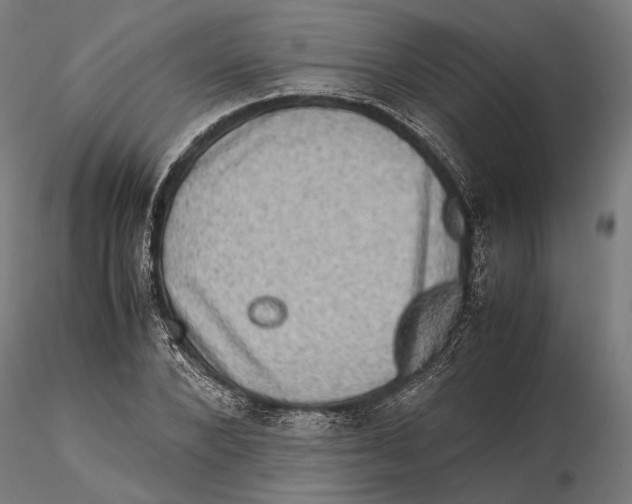 X0000115510880200912041059