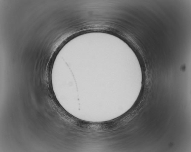 X0000115510883200912041059