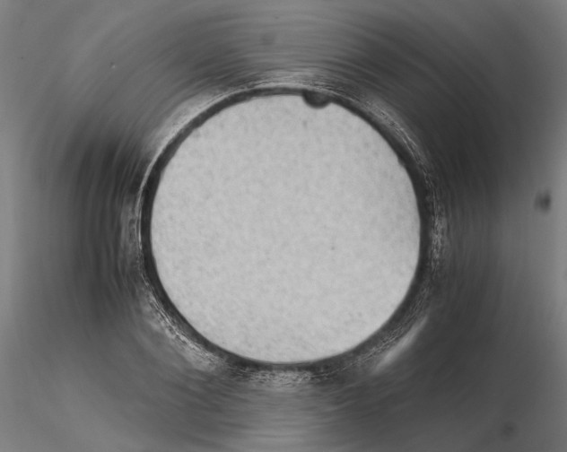 X0000115510884200912041059