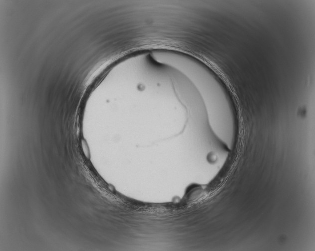 X0000115510885200912041059