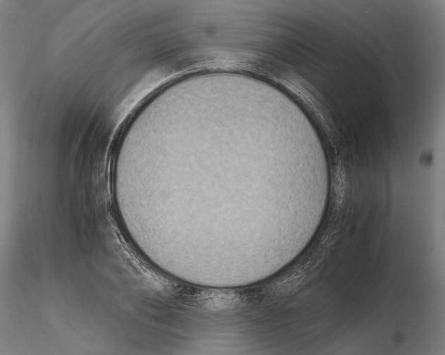 X0000115510886200912041059