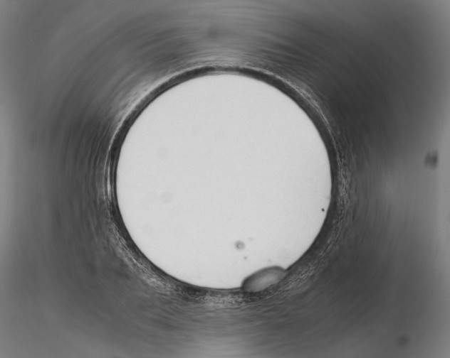 X0000115510887200912041059