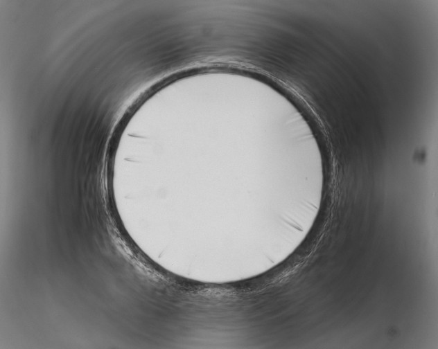 X0000115510888200912041059